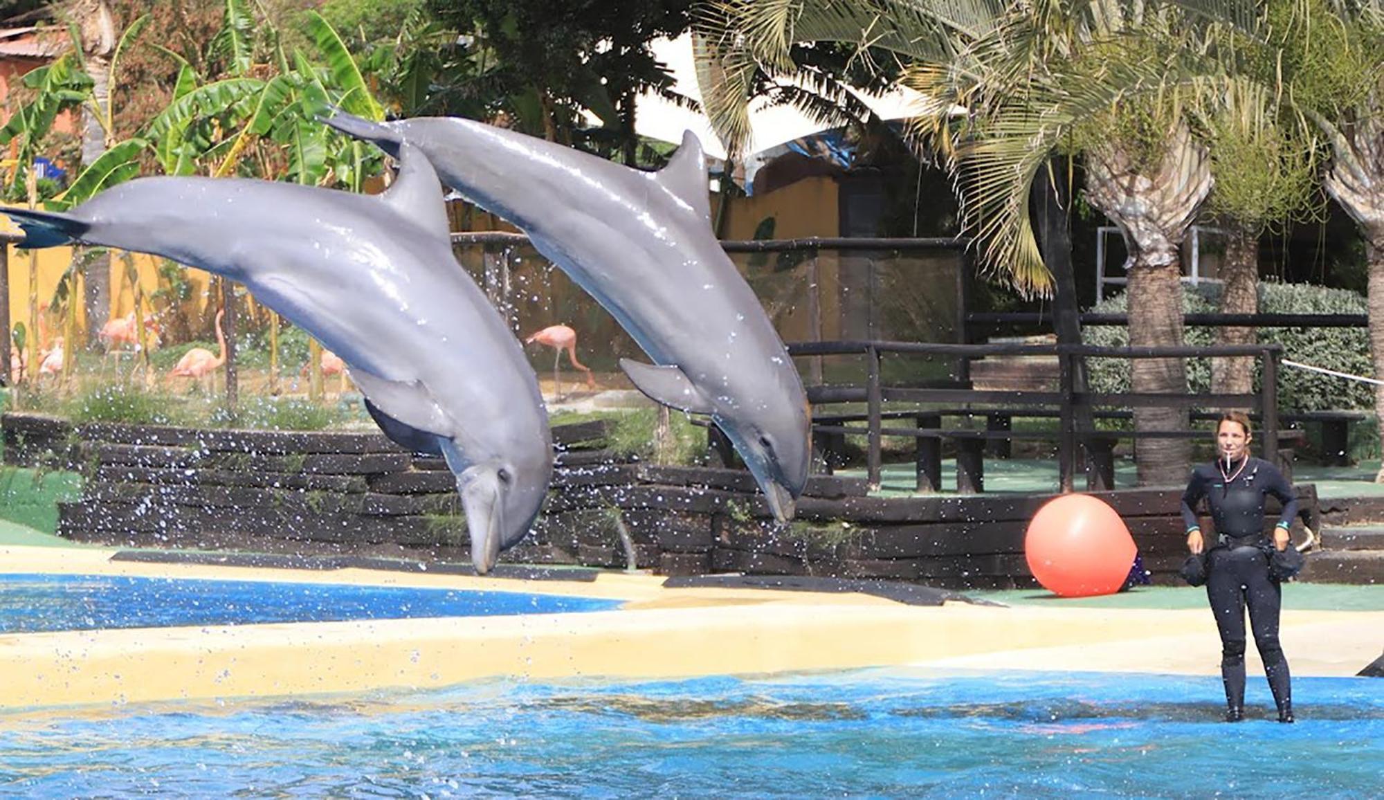 Skysea Benalmadena Puerto Marinaアパートメント エクステリア 写真